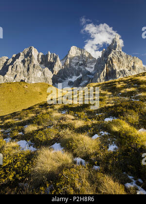 Cima dei Bureloni 3130m, Cima della Vezzana 3192 m, Cimon della Pala 3184 m, Passo Rolle, Trentino, Alto Adige, Dolomiten, Italien Stockfoto