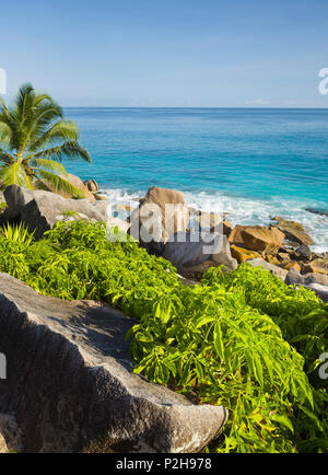 Felsige Küstenlinie, Anse Patates La Digue Island, Seychellen Stockfoto