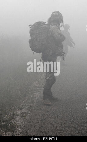 REZEKNE, Lettland - ein Fallschirmjäger ab dem gewählten Unternehmen, 2.BATAILLON, 503Rd Infanterie Regiment (Airborne), 173Rd Infantry Brigade Combat (Airborne), blickt zurück auf seine Schlacht buddy während einer Patrouille Sept. 24 während der Übung Zobens. Die Übung wurde entwickelt, um die lettische Armee Fähigkeit mit verschiedenen internen und externen Stellen zusammenarbeiten, um ihre Fähigkeiten zu Marschall und ihre Position verteidigen zu testen. Die Fallschirmjäger, zusammen mit Elementen aus dem Lettischen mechanisierte Kräfte, spielte die oppositionelle Kraft für die Übung. Die Fallschirmjäger kam in Lettland zwei Wochen auf sechs Monate zu beginnen Stockfoto