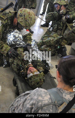 Japan Masse Verteidigung-kraft Ärzte behandeln einen verwundeten Kameraden während der US-Armee, die Ärzte bei einem bilateralen medizinische Ausbildung Übung an Aibano Training Area, Japan, Sept. 12, 2016. Szenarien in der Übung erlaubt Amerikanische und Japanische ärzte Best Practices für Unfall- Behandlung in einer simulierten hoher Stress Umwelt zu teilen. (U.S. Army National Guard Foto: Staff Sgt. Margaret Taylor) Stockfoto