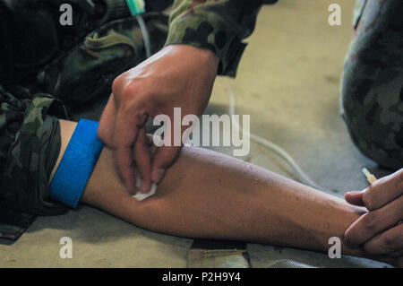 Ein Japan Masse Verteidigung-kraft medic Putzlappen Arm eines Unfalls vor der Verwaltung ein IV während eines bilateralen medizinische Ausbildung Übung an Aibano Training Area, Japan, Sept. 12, 2016. Szenarien in der Übung erlaubt Amerikanische und Japanische ärzte Best Practices für Unfall- Behandlung in einer simulierten hoher Stress Umwelt zu teilen. (U.S. Army National Guard Foto: Staff Sgt. Margaret Taylor) Stockfoto