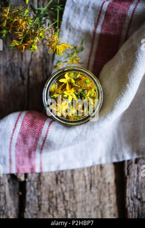 Hypericum Blumen in Mazeration unter Öl. Stockfoto