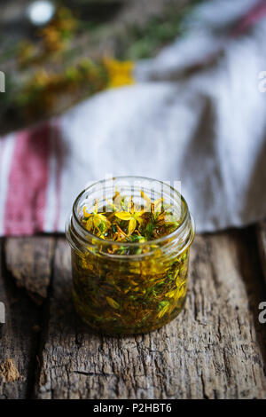 Hypericum Blumen in Mazeration unter Öl. Stockfoto