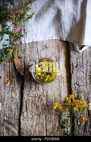 Hypericum Blumen in Mazeration unter Öl. Stockfoto