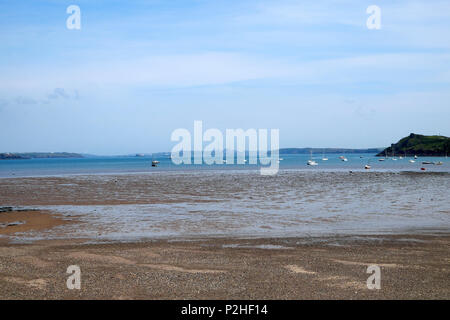 Blick über die Bucht in Richtung Milford Haven aus dem Dorf von Dale bei Ebbe in West Wales Pembrokeshire UK KATHY DEWITT Stockfoto