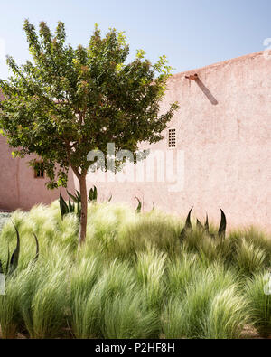 Die Außenfassade des Adobe Berber-stil Lodges mit Innenhof von Lemon Tree, Gräser und Kakteen Stockfoto