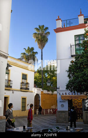 Calle Vida: Ein kleines Quadrat im Barrio de Santa Cruz, Sevilla, Andalusien, Spanien Stockfoto