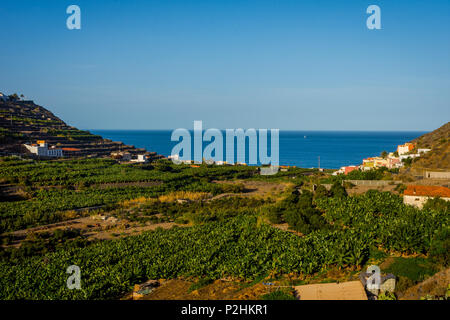 Santa Catalina Bucht mit Bananenplantagen, La Gomera, Kanarische Inseln Stockfoto