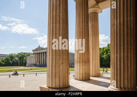 Königsplatz mit dem Bau der Staatlichen Sammlungen von Antiquitäten, staatlichen Antikensammlung, Museum für griechische, etruskische und Stockfoto