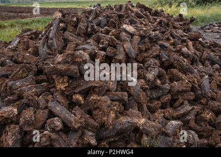 Damm der trockenen Rasen am Moor, Renard County Kerry Irland Stockfoto