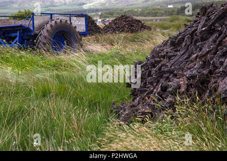 Damm der trockenen Rasen am Moor, Renard County Kerry Irland Stockfoto