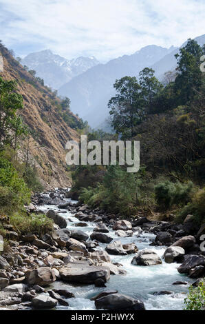 River Valley und in den Bergen, in der Nähe von Bamboo Lodge, Langtang Tal, Nepal Stockfoto