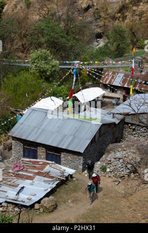 Tea House in der Nähe von Bamboo Lodge, Langtang Tal, Nepal Stockfoto