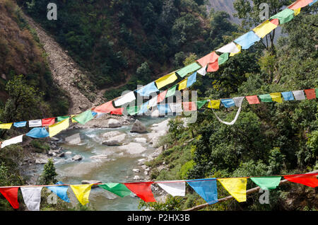 Gebetsfahnen und Langtang Khola River, in der Nähe von Bamboo Lodge, Langtang Tal, Nepal Stockfoto