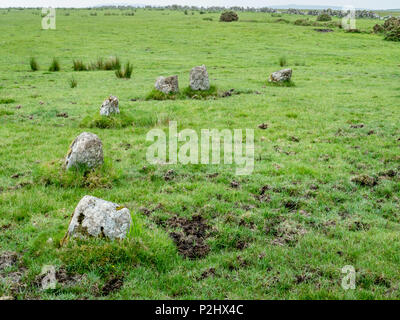 Teilweise noch von Sherberton Steinkreis in der Nähe von hexworthy im Nationalpark Dartmoor Devon, Großbritannien Stockfoto