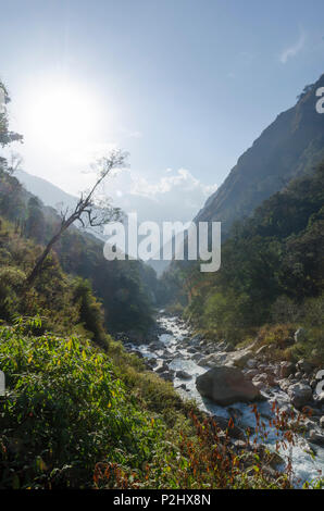 Langtang Khola River in der Nähe in der Nähe von Bamboo Lodge, Langtang Tal, Nepal Stockfoto