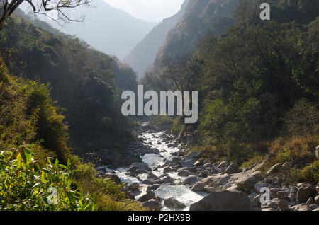 Langtang Khola River in der Nähe in der Nähe von Bamboo Lodge, Langtang Tal, Nepal Stockfoto