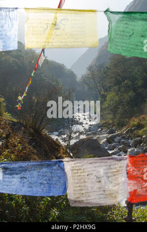 Fluss und Gebetsfahnen in der Nähe von Bamboo Lodge, Langtang Tal, Nepal Stockfoto