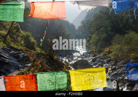 Fluss und Gebetsfahnen in der Nähe von Bamboo Lodge, Langtang Tal, Nepal Stockfoto