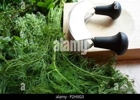 Frische Kräuter und Häckseln Utensilien Stockfoto