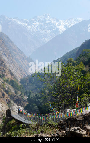 Swing Bridge in der Nähe von Bamboo Lodge, Langtang Tal, Nepal Stockfoto