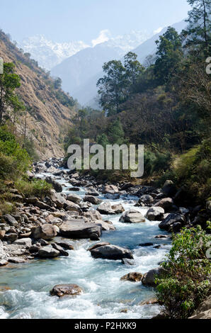 Langtang Khola River, in der Nähe von Bamboo Lodge, Langtang Tal, Nepal Stockfoto