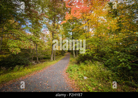 Beförderung Straßen werden von hellen Herbstlaub auf einem leicht bewölkt Nachmittag am Minnewaska State Park, Kerhonksen, NY umgeben Stockfoto