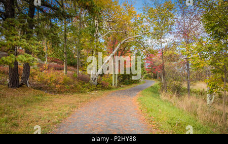 Beförderung Straßen werden von hellen Herbstlaub auf einem leicht bewölkt Nachmittag am Minnewaska State Park, Kerhonksen, NY umgeben Stockfoto