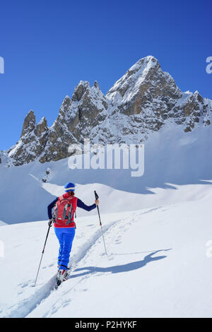 Frau back-country skiing aufsteigend zu Col Sautron, Col Sautron, Valle Maira, Cottischen Alpen, Piemont, Italien Stockfoto