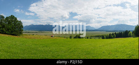 Murnauer Moos, und die Bayerischen Alpen, Moor, Nature Reserve in der Nähe von Murnau, Blaues Land, Landkreis Garmisch-Partenkirchen, Bayerische Alp Stockfoto