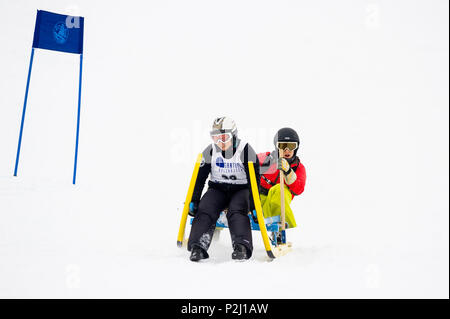Traditionelle Schlittenrennen, Waldau, Titisee-Neustadt, Schwarzwald, Baden-Württemberg, Deutschland Stockfoto