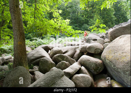 Felsen, Felsenmeer Lautertal, Lautertal, Odenwald, Hessen, Deutschland Stockfoto