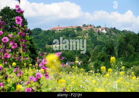 Feld voller Blumen mit Bergdorf Dilsberg im Hintergrund, Neckar, Baden-Württemberg, Deutschland Stockfoto