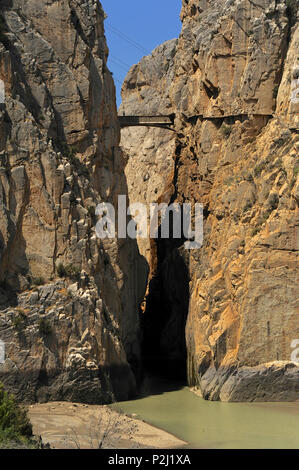 El Chorro Schlucht, Provinz Malaga, Andalusien, Spanien Stockfoto