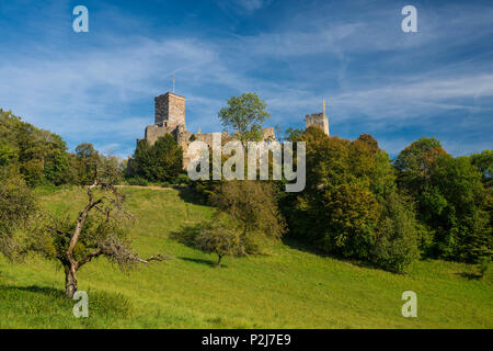 Burg Roetteln, Loerrach, Schwarzwald, Baden-Württemberg, Deutschland Stockfoto