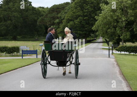 Die Herzogin von Cornwall Fahrten in einem jaunting Auto als Sie ankommt, für einen Besuch in Muckross House in Co Kerry, als Teil ihrer Tour der Republik Irland mit der Prinz von Wales. Stockfoto