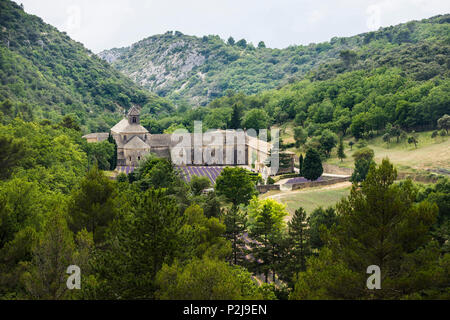 Notre Dame De Senanque Abtei, in der Nähe von Gordes, Departement Vaucluse, Provence-Alpes-Cote d'Azur, Provence, Frankreich Stockfoto