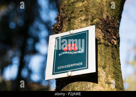 Wandern an der Mummelsee, Seebach, in der Nähe von achern, Schwarzwald, Baden-Württemberg, Deutschland Stockfoto