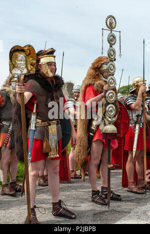 Römer in Großbritannien! Re-enactment Soldaten an Portchester Castle, Hampshire, Großbritannien Stockfoto