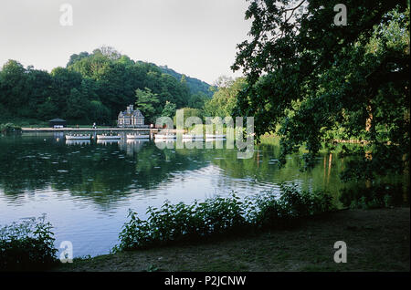 Swanbourne See, in der Nähe von Arundel, West Sussex, UK, in den frühen Abendstunden im Sommer Stockfoto