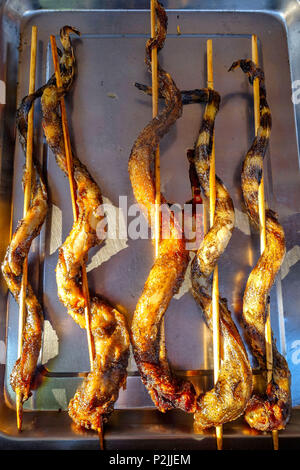 Nahaufnahme von einige Schlangen auf den Verkauf auf einen Markt in China. Stockfoto