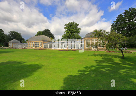 Sheffield botanischen Garten Pavillons, Sheffield, South Yorkshire, England, UK. Stockfoto