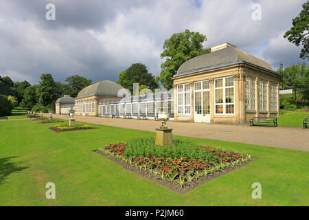 Sheffield botanischen Garten Pavillons, Sheffield, South Yorkshire, England, UK. Stockfoto