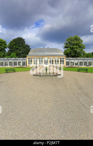 Sheffield botanischen Garten Pavillons, Sheffield, South Yorkshire, England, UK. Stockfoto