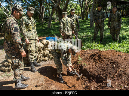 Marines mit dem Infanteria de Marina von El Salvador mit Schaufeln und e-Tools zu Feuer Löcher in La Union, El Salvador, Sept. 28, 2016 dig. In den nächsten Monaten Marinen werden neben ihren El Salvador Gegenparts partner Nation, die Interoperabilität zu verbessern und die regionale Sicherheit und Verteidigung Zusammenarbeit zu stärken. (U.S. Marine Corps Foto von Cpl. Kimberly Aguirre) Stockfoto