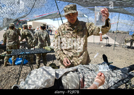 Soldaten aus der Idaho National Guard 116 Kavallerie Brigade Combat Team führte eine Mass Casualty Übung während des Exportierbaren Combat Training Funktion Drehung auf der Orchard Combat Training Center, Idaho am 10. Juni 2018. Die Ausbildung der Ärzte zu üben und ihre Verfahren für die Behandlung von Opfern in einem simulierten bekämpfen Umwelt verbessern. (Nevada Army National Guard Foto von SPC Jonnie Riley) Stockfoto