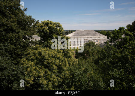 Luftaufnahme des neu renovierten gemäßigt Haus in Kew Gardens in London, Vereinigtes Königreich. Die Royal Botanic Gardens, Kew, in der Regel wird es einfach als Kew Gardens, 121 Hektar botanischen Gärten und Gewächshäuser zwischen Richmond und Kew im Südwesten Londons. Es ist eine international bedeutende botanische Forschung und Bildung Institution mit 700 Mitarbeitern, rund 2 Millionen Besucher pro Jahr. Seine lebendigen Sammlungen umfassen mehr als 30.000 verschiedene Arten von Pflanzen. Stockfoto