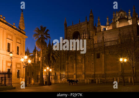 Plaza del Triunfo und die Kathedrale am späten Abend: Sevilla, Andalusien, Spanien Stockfoto