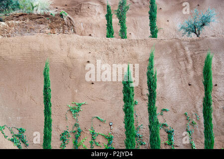 Frische grüne Wacholderbüsche, Reben und andere Bäume gegen roten Lehm Hintergrund in Port Adriano Mallorca, Mallorca, Spanien. Stockfoto