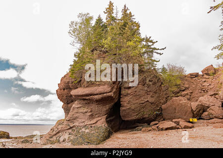 Blumentöpfe von Hopewell Rocks Park, Hopewell Cape, NB, Canada Stockfoto